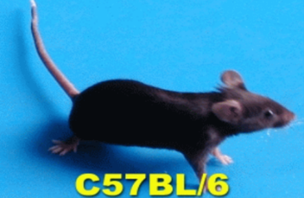 tupian73.png